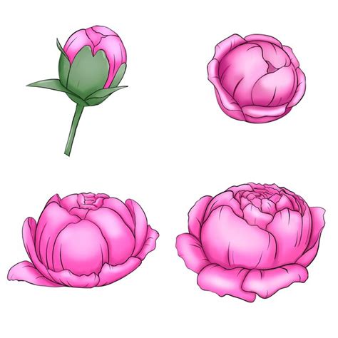 Image result for Spring Flower PSD