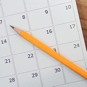 Families | Florida Atlantic University