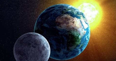 Moon And Sun’s Gravity Affects Plant And Animal Behaviour On Earth ...