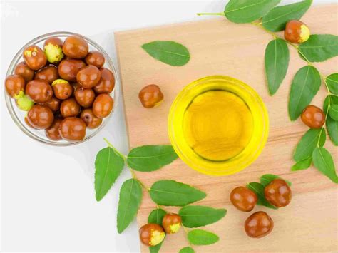 Rosehip vs. Jojoba Oil: Best Oil for Your Face? 2026