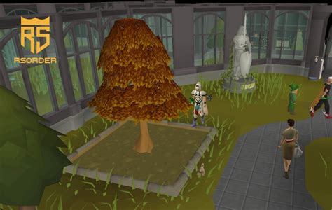 Image result for OSRS Tree Patches