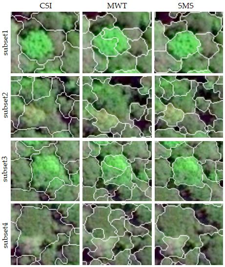 A New Individual Tree Crown Delineation Method for High Resolution ...