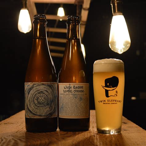 When Forever Comes Crashing - 500ml Bottle – Twin Elephant Brewing Company