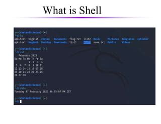 Image result for Shell Computer Program