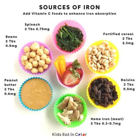 Iron-Rich Foods Chart at Angelina Chomley blog