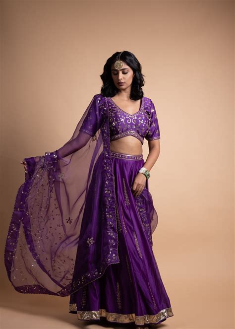 Rani- Purple Chanderi Silk Blouse and Tonal Lehenga Paired with Net Du