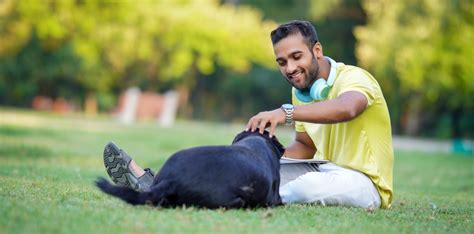 Provident Palm Vista Mumbai | Homes in Shilphata