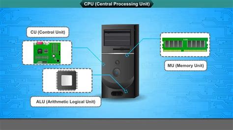 Octa-Core CPU 的图像结果
