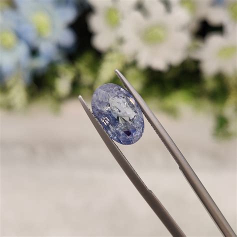 Blue Sapphire | BS 7 | 5.09 Carat – BellarosaGems