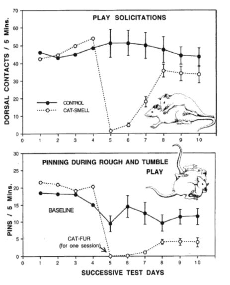 Kaķi un žurkas - Harijs Abolins