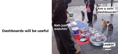 Image result for Data Analysis Code Meme