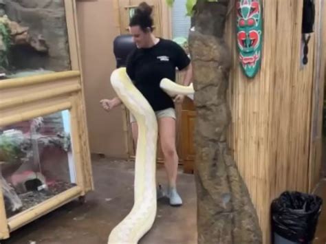 Python Wrapped around Body 的图像结果