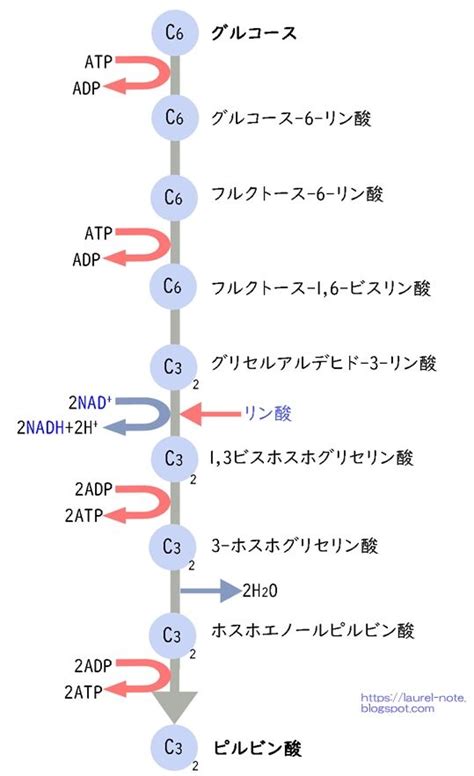 Image result for Secure Hash Algorithm Hint Image