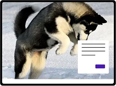 Image result for Floating Button CSS/HTML Design