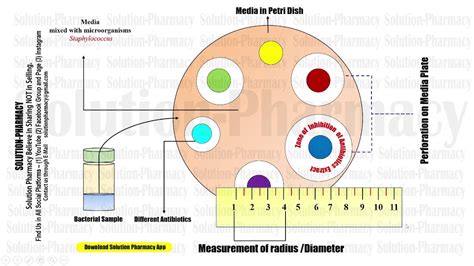 Image result for Cup Plate Method Exp