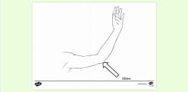 Biting Elbow Colouring | Colouring Sheets (teacher made)