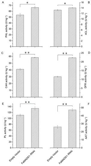 Participation of FaTRAB1 Transcription Factor in the Regulation of ...