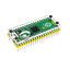 Buy Raspberry Pi Pico Mini Microcontroller Development Board with Clear ...