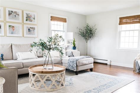 Ways To Decorate Your Living Room Cheap | Baci Living Room