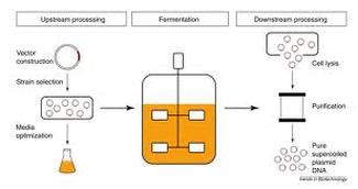 Biotech Process 的图像结果