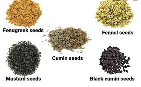 Collect different types of seeds and paste them - Brainly.in