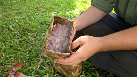 Natural Farming Methods 的图像结果