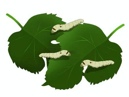 Image result for Un Sample Script