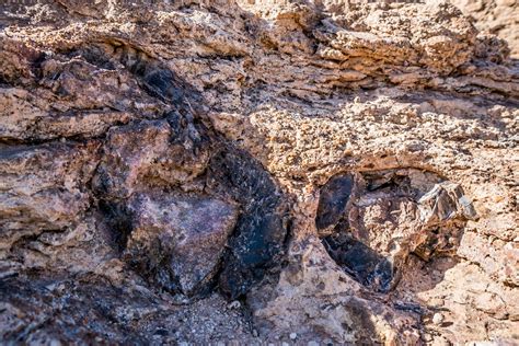 Mill Canyon Dinosaur Tracksite & Fossil Trail in Utah - We Love to Explore