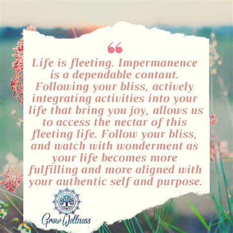 Bliss Definition Bliss Meaning Positive Words Dictionary