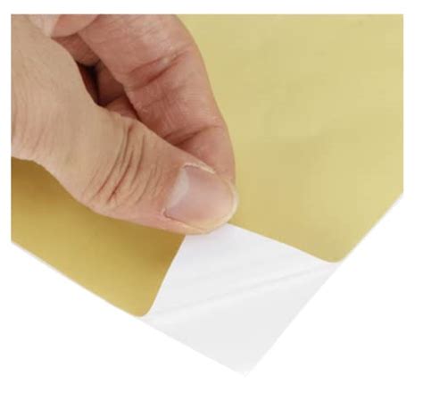 Buy NS INVENTIVENESS - Please Remove Your Shoes Outside PVC Sticker ...