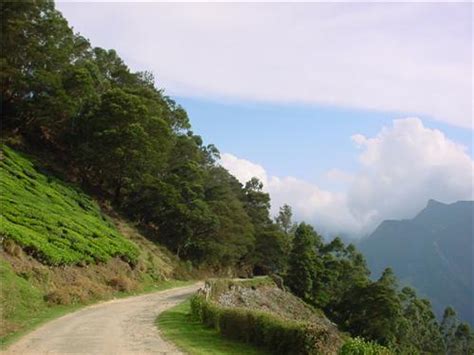 Hill Stations near Jorhat, Famous Hill Station around Jorhat