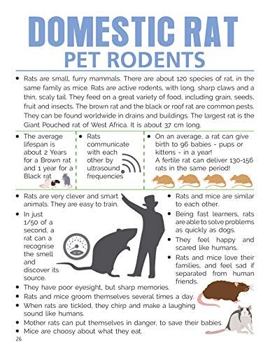 JoGenii |Animals and Birds Minipedia | Dreamland Publications