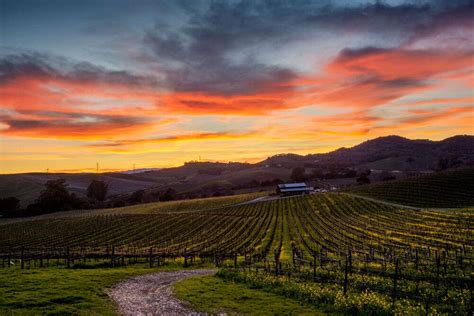 Napa Valley, Napa - TimesTravel