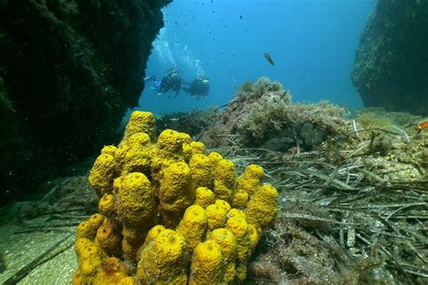 SUB SAOS (2025) All You Need to Know BEFORE You Go (with Photos ...