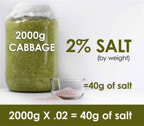 Sauerkraut Salt To Cabbage Ratio Metric at Brenda Ferri blog