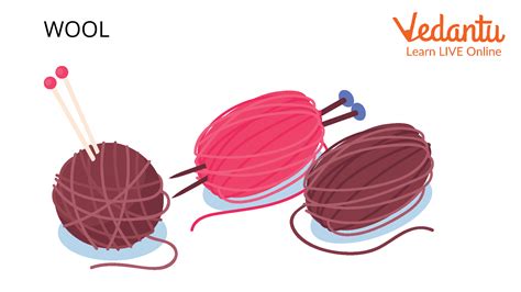 Top 5 Uses of Wool for Students | Easy Guide to Applications