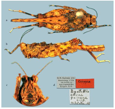 Taxonomy | December 2025 - Browse Articles