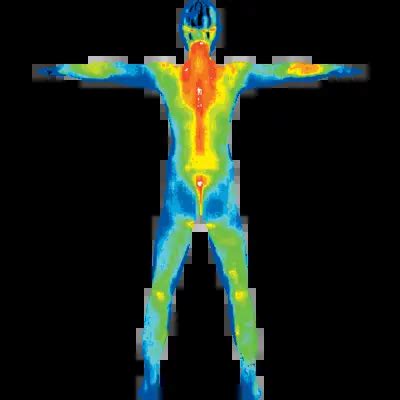 Image result for Body Scan Open