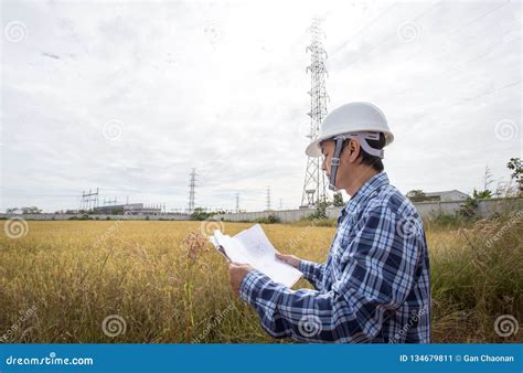 Image result for Electrical Engineering Is Working On the Project