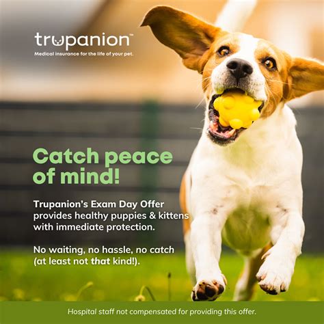 Trupanion Pet Insurance – New Market Animal Hospital
