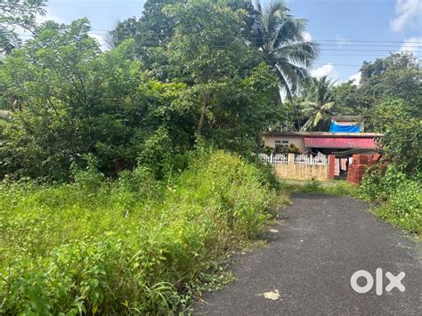 Plot with Dual Road Access for sale - Lands & Plots - 1825020570