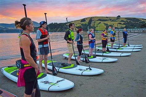 NightSUP Akaroa - All You Need to Know BEFORE You Go