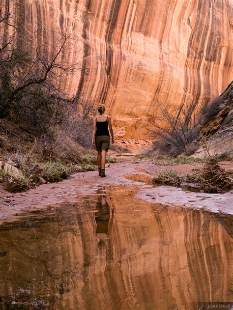 Robbers Roost Hiking Reflection | Robbers Roost Country, Utah ...