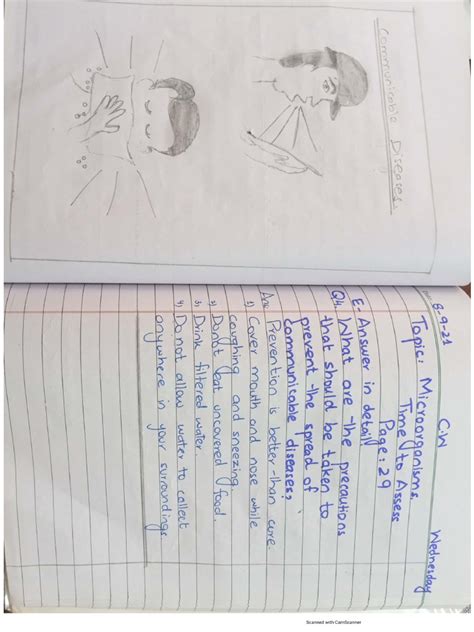 Science Working Model for Class 5 的图像结果