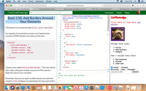 Basic CSS: Add thick-green-border Around Your Elements - HTML-CSS - The ...