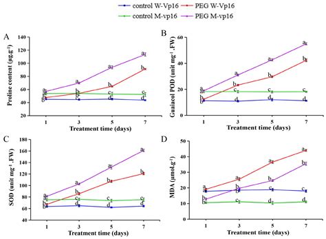 Comparative Proteomic and Morpho-Physiological Analyses of Maize Wild ...
