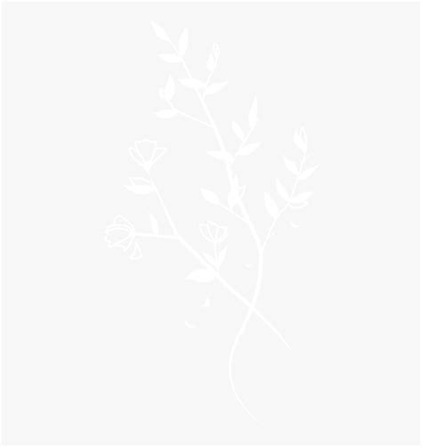 Image result for Native Instruments Logo