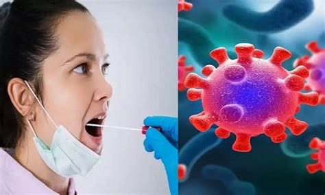 US: American scientists claim Covid-19 spread through civets, rats and ...