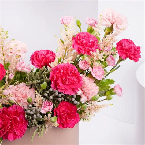 Order Mama Garden Joy Online | Same-Day Delivery UAE - Fnp.ae