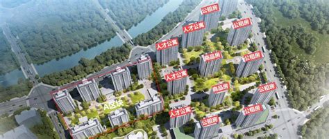 杭州1100余户公租房保障家庭入住新家，3个集中配建公租房项目将交付使用_杭州网